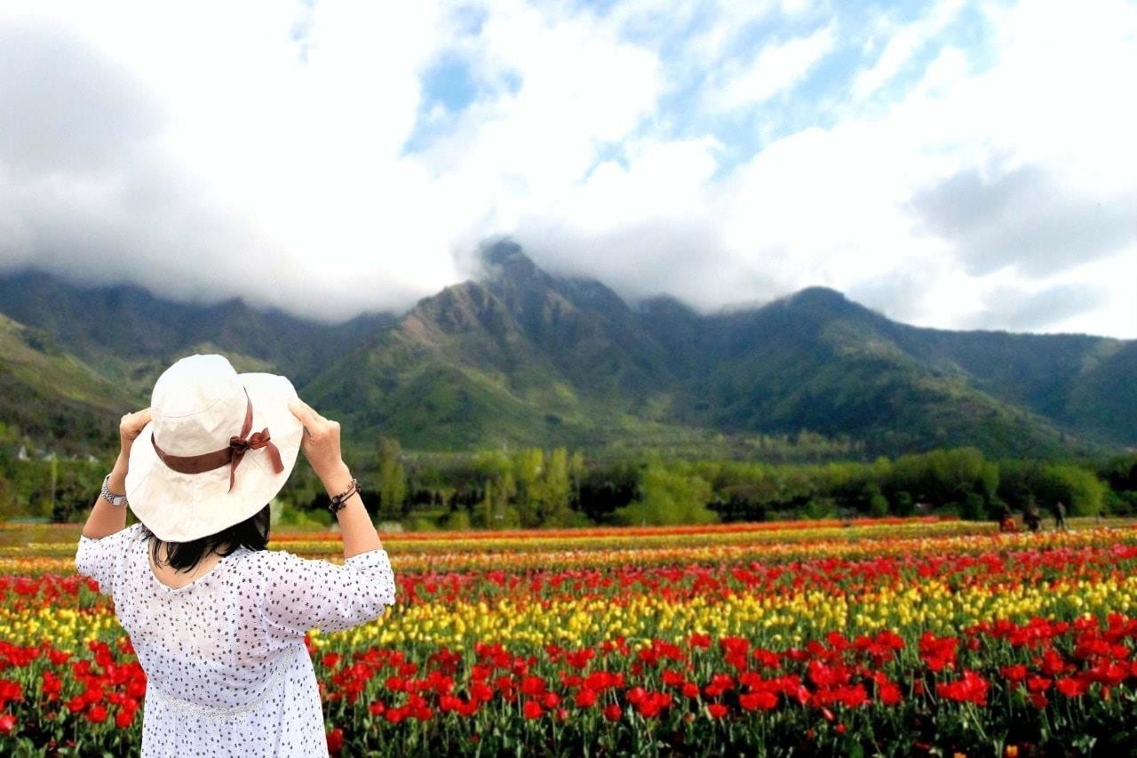 Tulip Gardens at shrinagar.