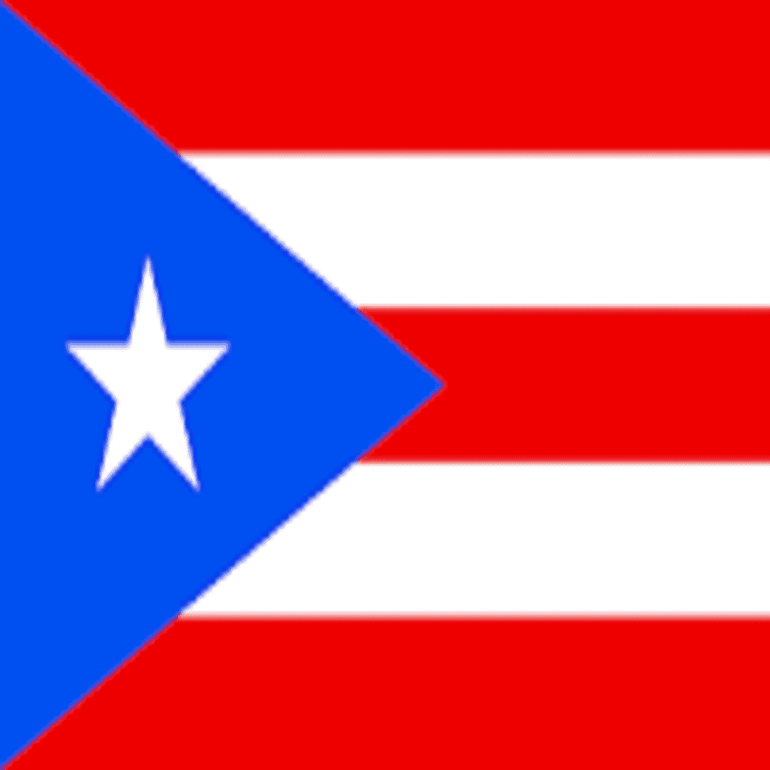 Puerto Rico Visa Processing