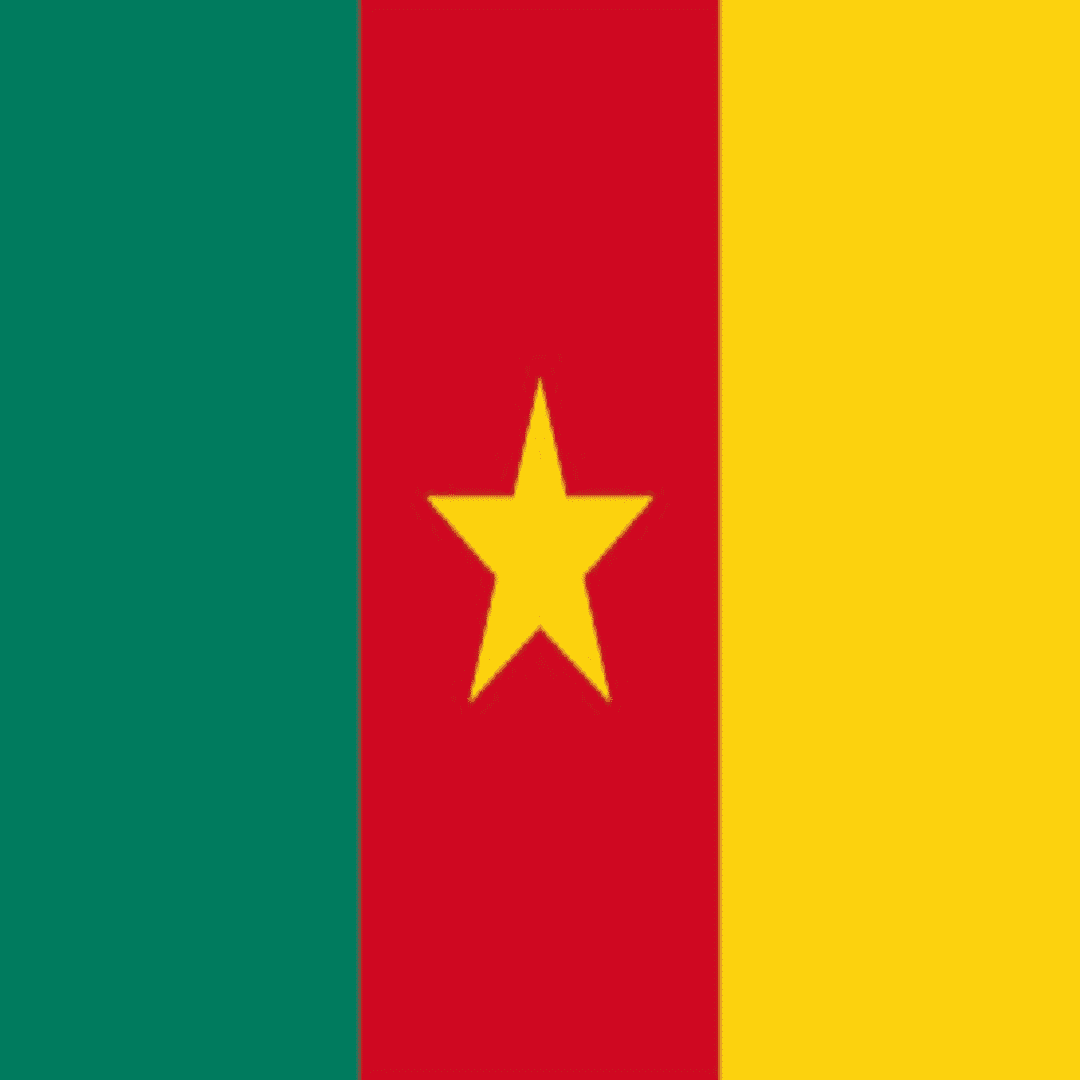 Cameroon Visa Processing