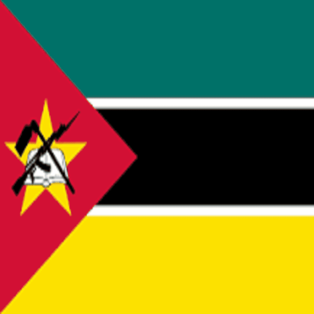 Mozambique Visa Processing