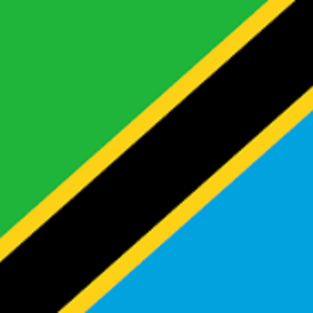 Tanzania Visa Processing